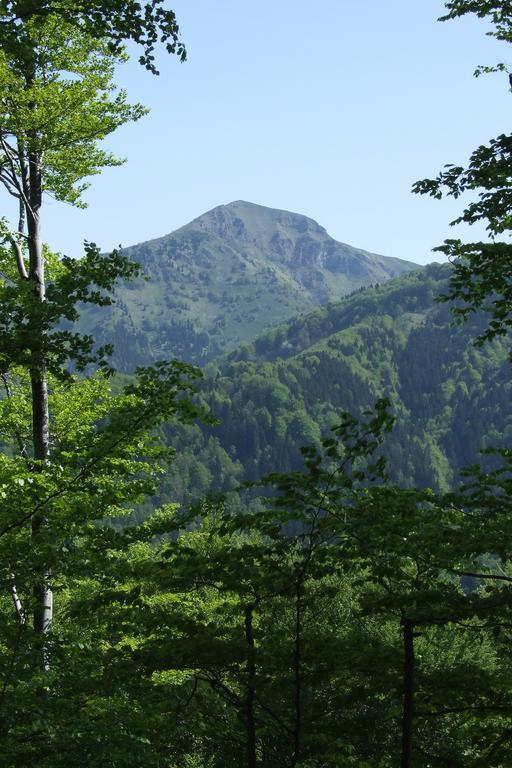 ツェルクノ Farm Pri Flandruヴィラ エクステリア 写真